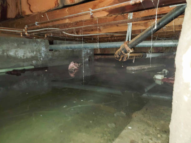 Best Water damage cleanup near me  in Camp Swift, TX