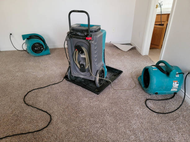 Best Water damage restoration near me  in Camp Swift, TX