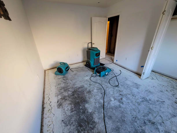 Best Sewage cleanup and water damage restoration  in Camp Swift, TX