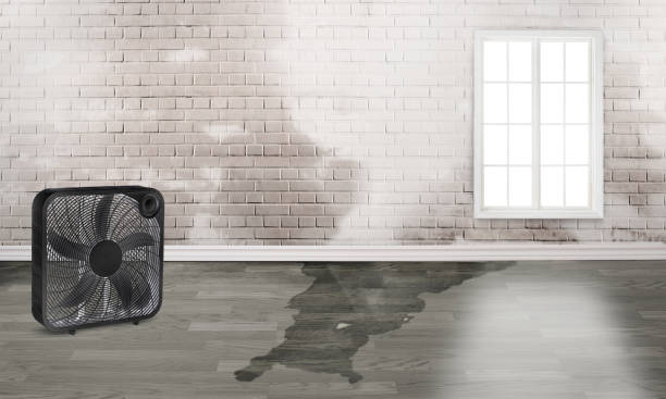 Best Commercial water damage restoration  in Camp Swift, TX